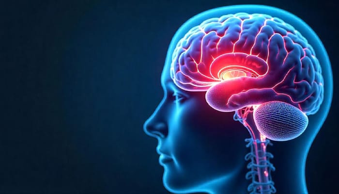 Imagen de una tomografía computarizada (TC) que muestra un hematoma subdural subagudo o crónico, evidenciando el sangrado acumulado en el cerebro.